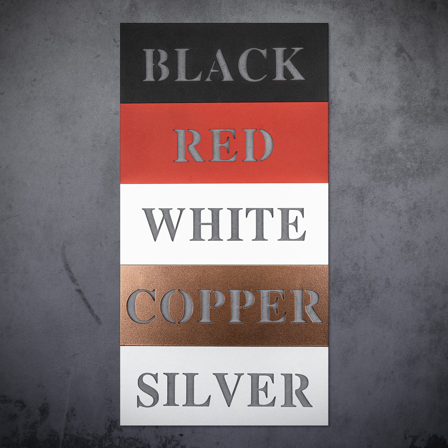 Bold Carpe Diem Metal Word Sign