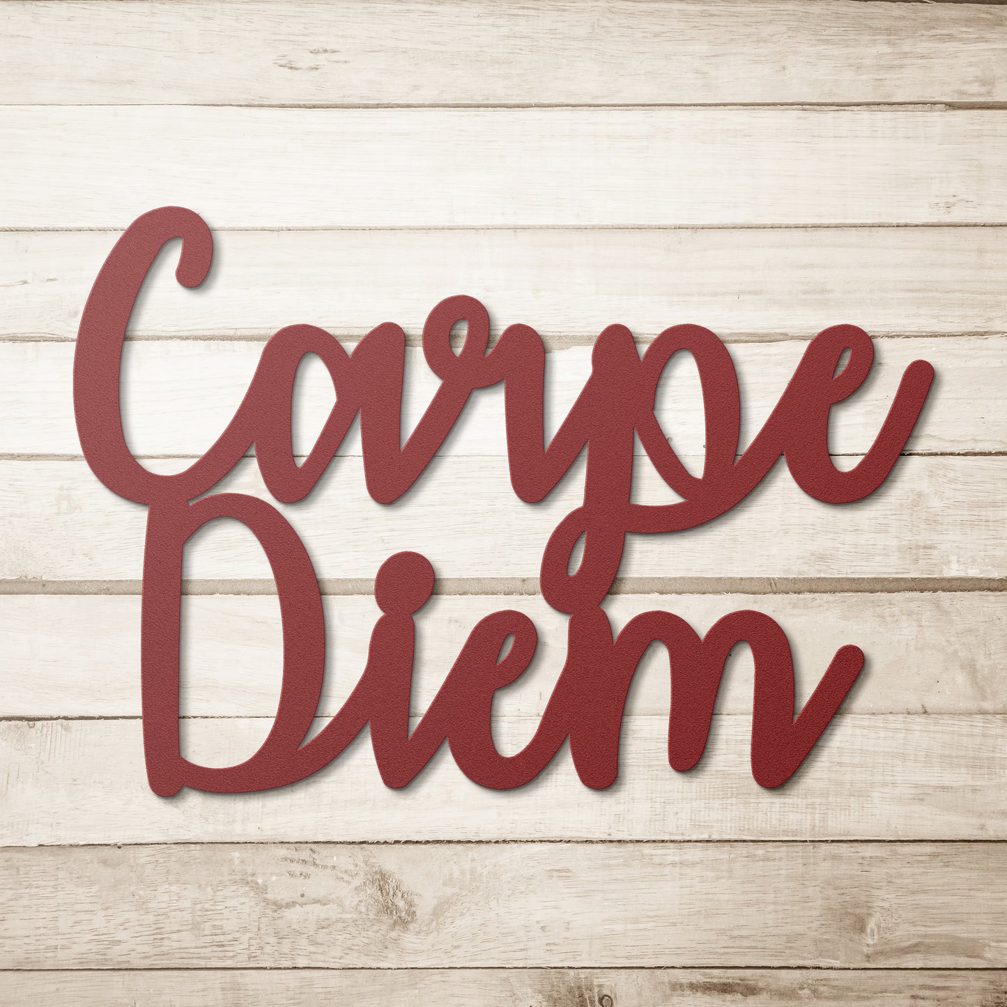 Carpe Diem Stylized Metal Word Sign