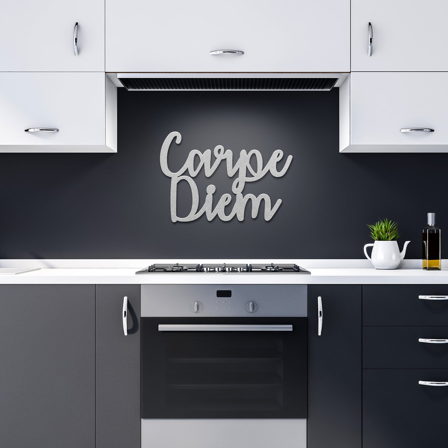 Carpe Diem Stylized Metal Word Sign