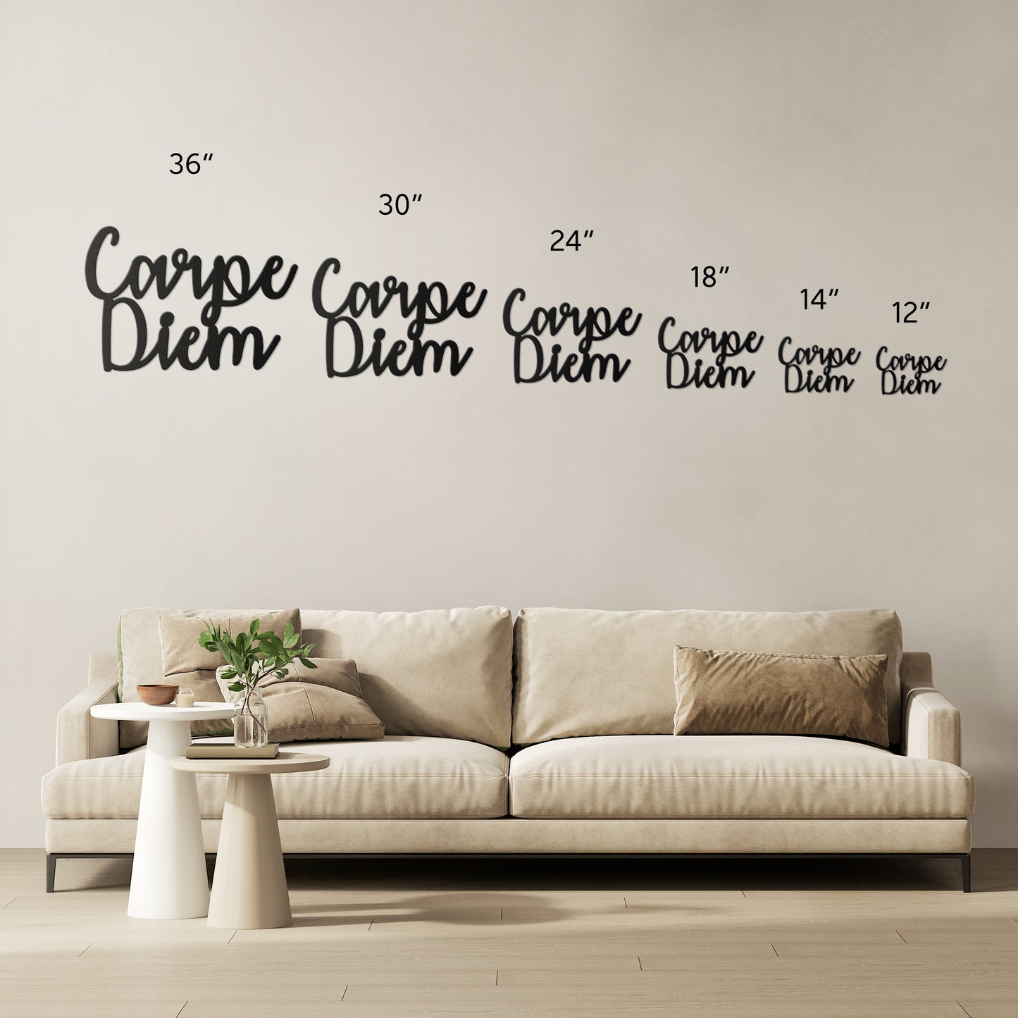 Carpe Diem Stylized Metal Word Sign