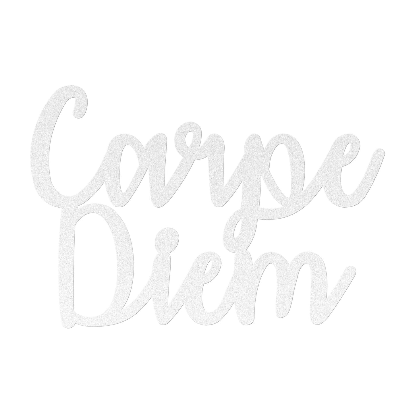 Carpe Diem Stylized Metal Word Sign