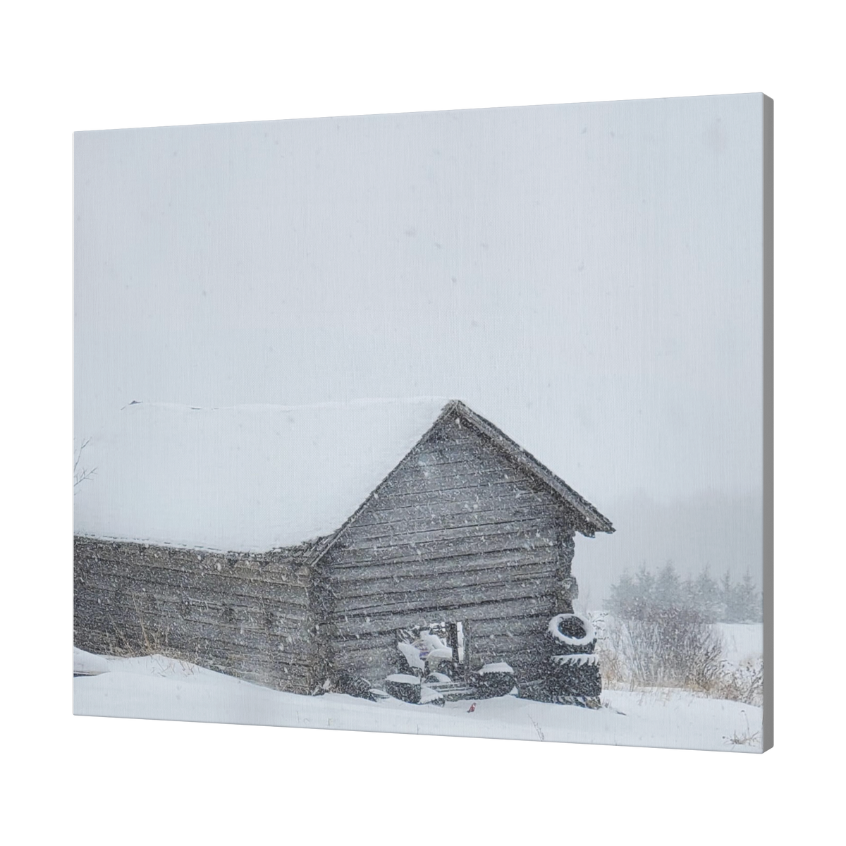 Liz_Cabin_Picture_H_Angle_T_Mockup.png_16166598