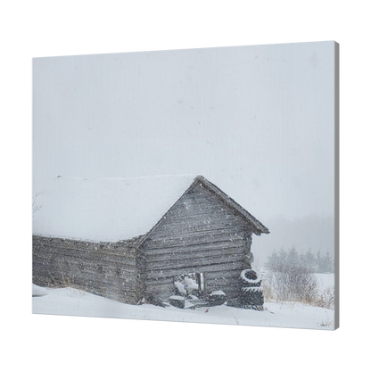 Liz_Cabin_Picture_H_Angle_T_Mockup.png_16166598