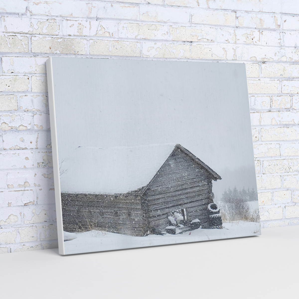 Liz_Cabin_Picture_H_Angle_Wall_Mockup.png_16166599