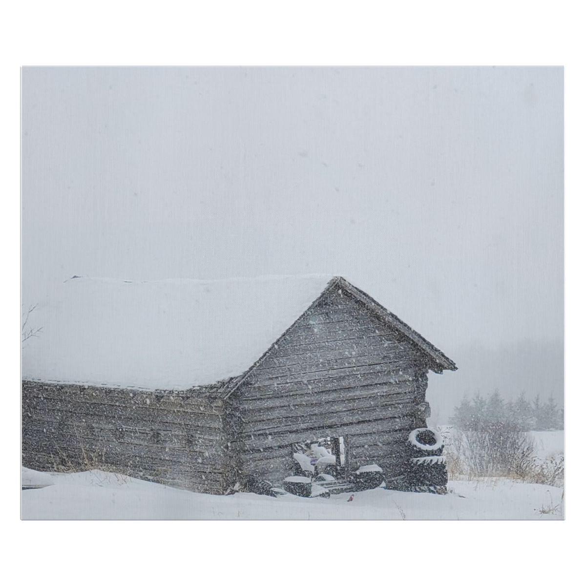 Liz_Cabin_Picture_H_Main_Mockup.png_16166597
