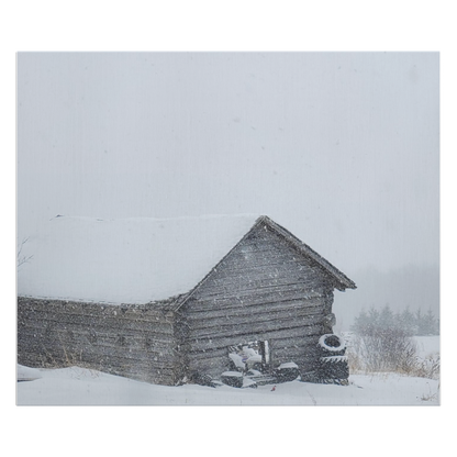 Liz_Cabin_Picture_H_Main_Mockup.png_16166597