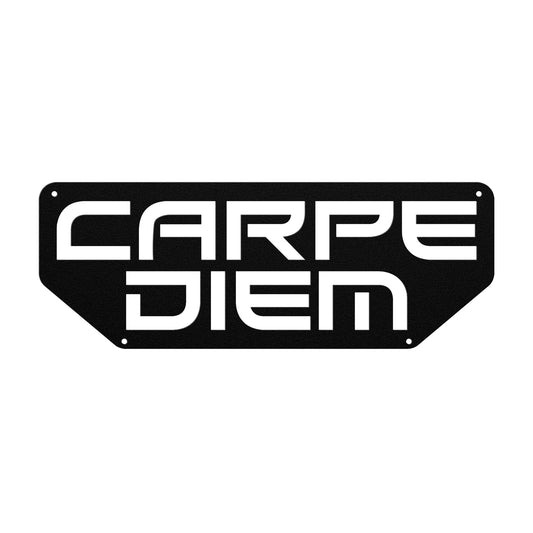 Modern Carpe Diem Metal Word Sign