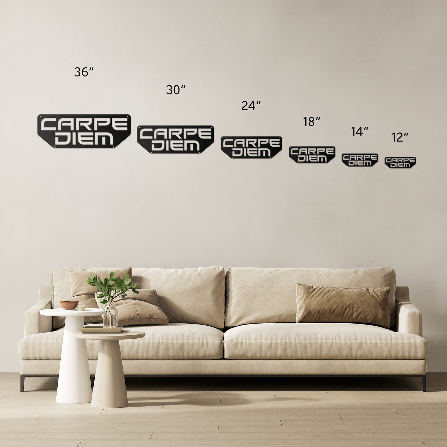 Modern Carpe Diem Metal Word Sign