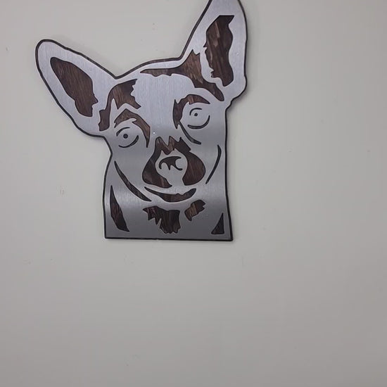 Chihuahua metal art video