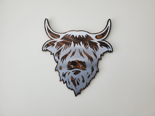 highlander Scottish hairy cow head