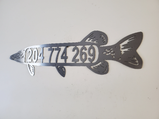 Northern fish number display sig side view