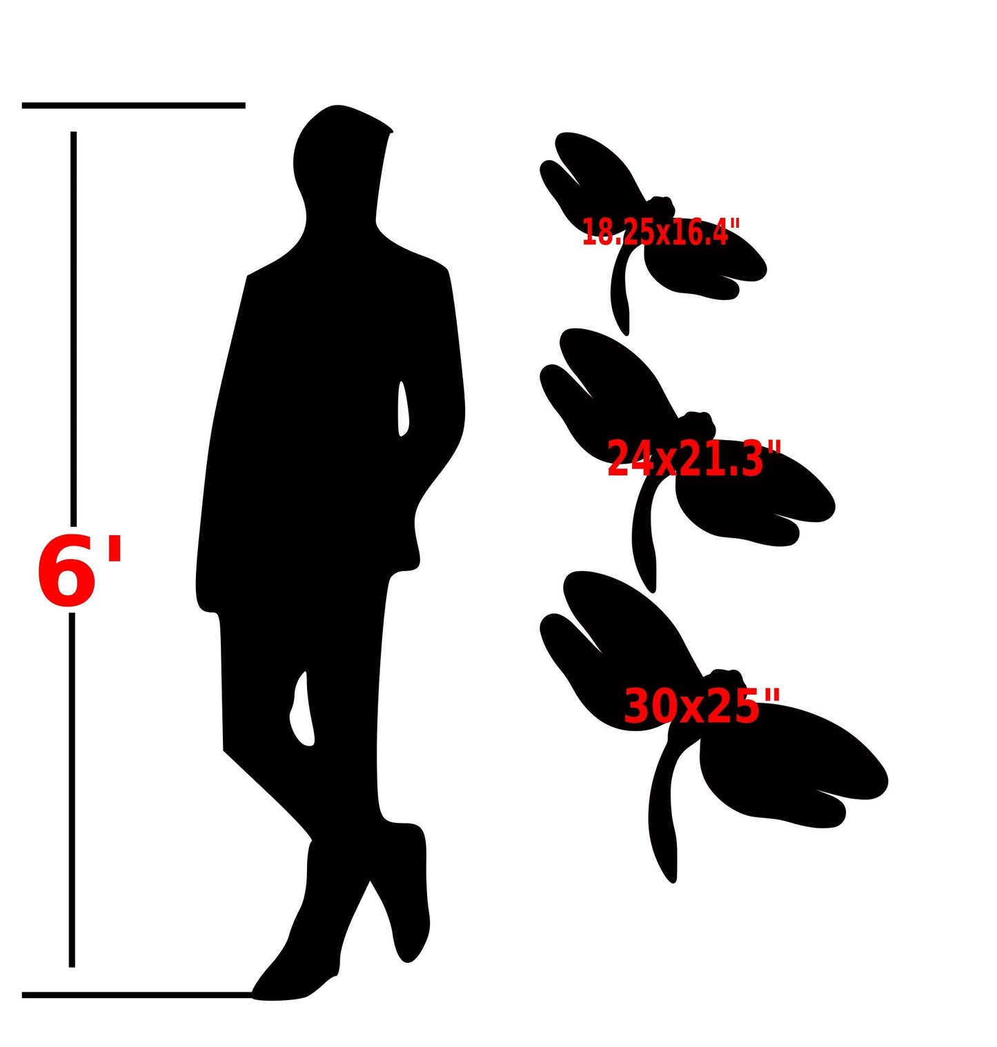 Dragon fly size representation 